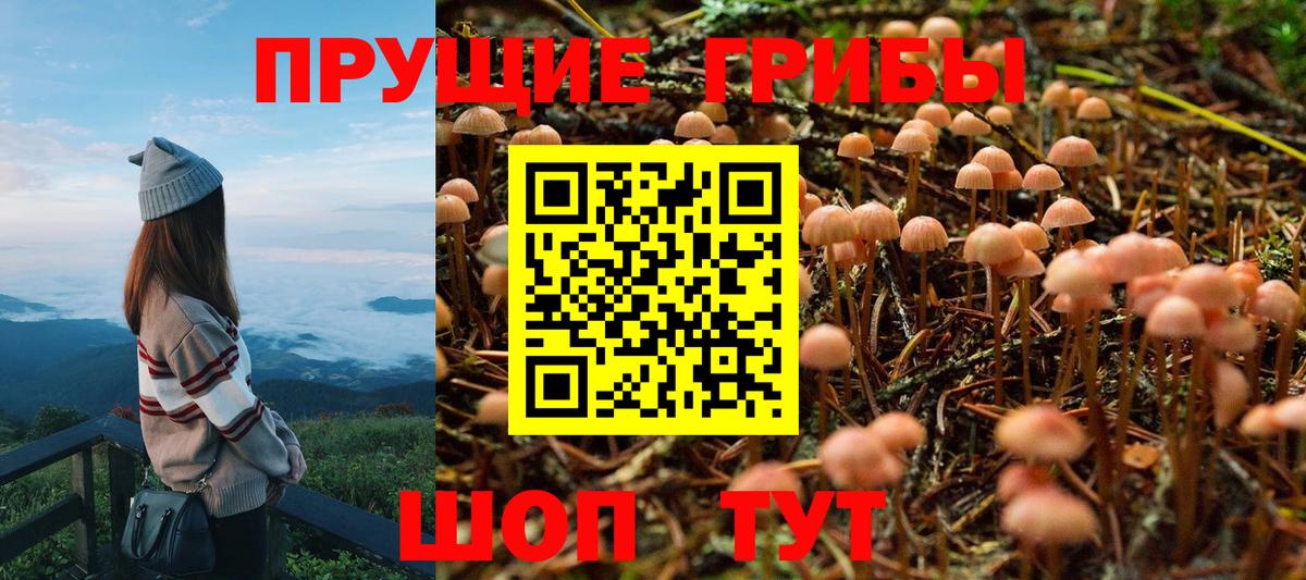 Галлюциногенные грибы прущие грибы  Псилоцибиновые грибы Psilocybe  Вход с VPN  Саранск 