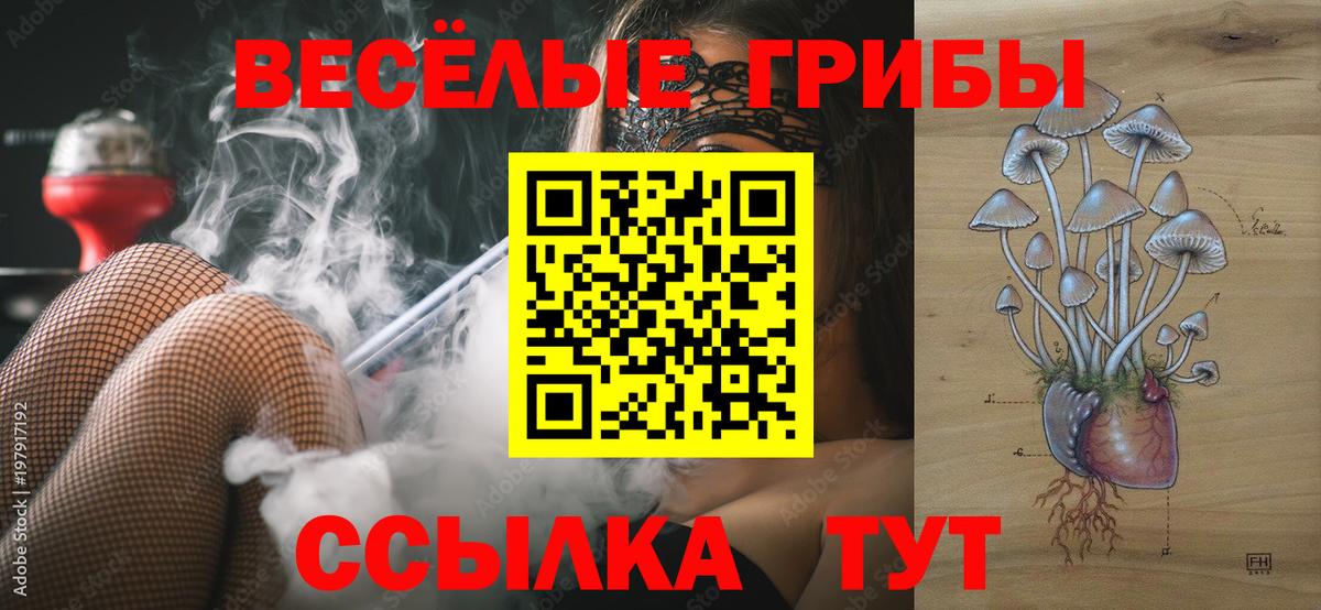 Галлюциногенные грибы мицелий Саранск